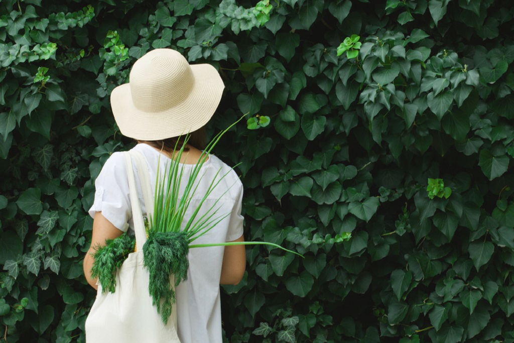 moda sostenibile e ripresa